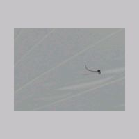 Gardasee2005 069.jpg